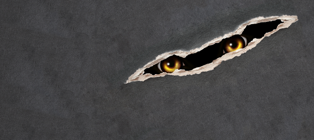 What is a threat hunter?