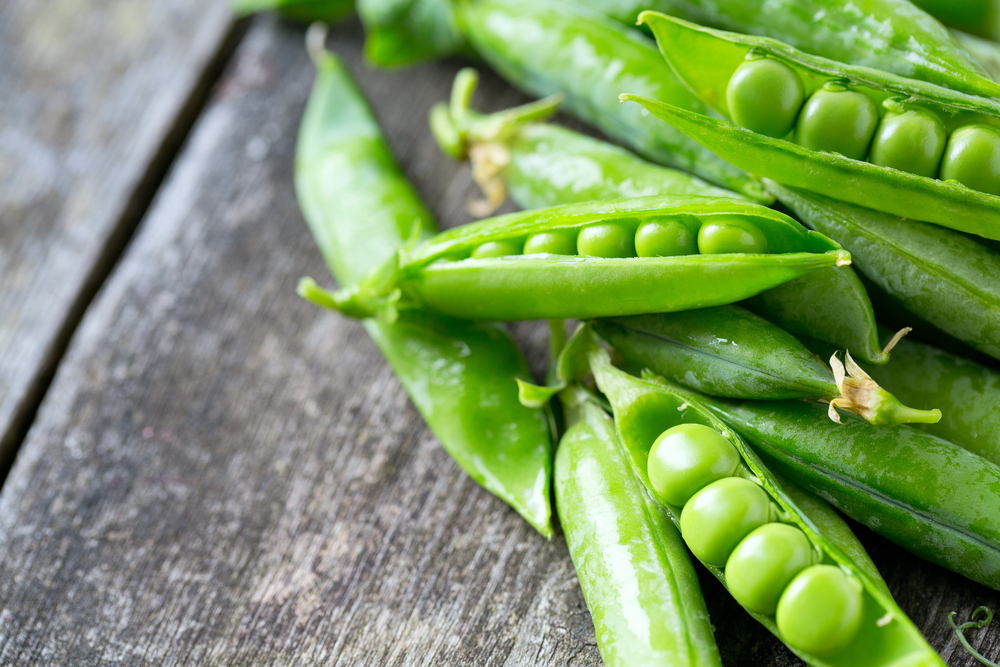 Built for Sage Partners, by Sage Partners